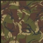 textura del camuflaje Ciénaga COD Mobile