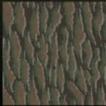 textura del camuflaje Serpiente Toro COD Mobile
